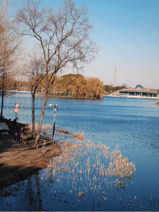 探寻非遗 探寻非遗